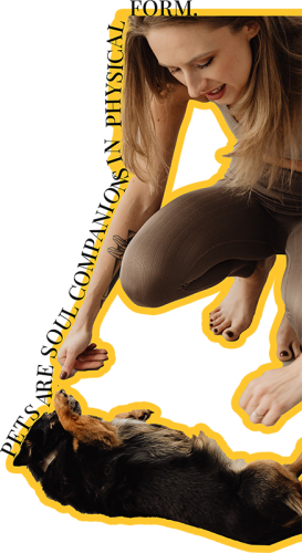 aurakamera-pets-psi-macke